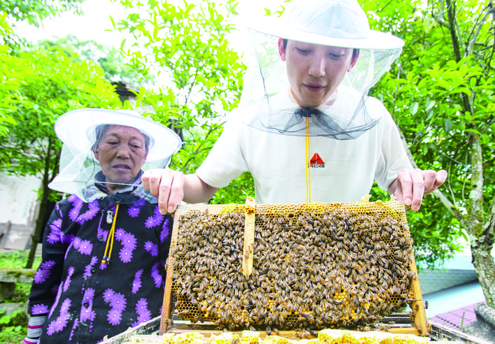 丁星劳作，78岁的外婆陪伴在身边。记者 冉孟军 摄