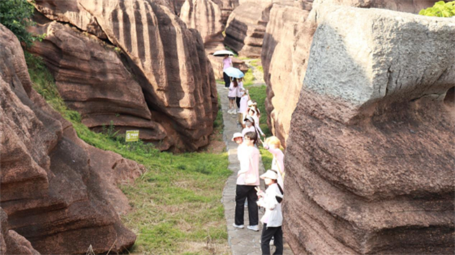 实践团走进红石林景区。红石林景区 华龙网发