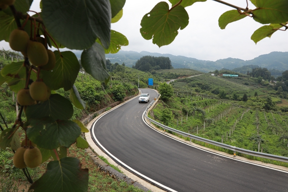 车辆在善感乡公路上行驶。通讯员 聂绍杨 摄 