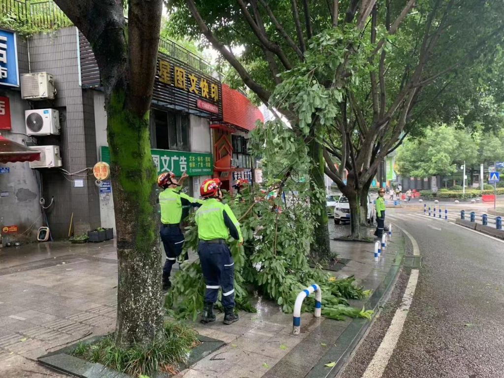 7月14日,应急救援队伍在赛迪路与龙渊路路口处置断裂树枝。两江新区应急管理局供图 华龙网发