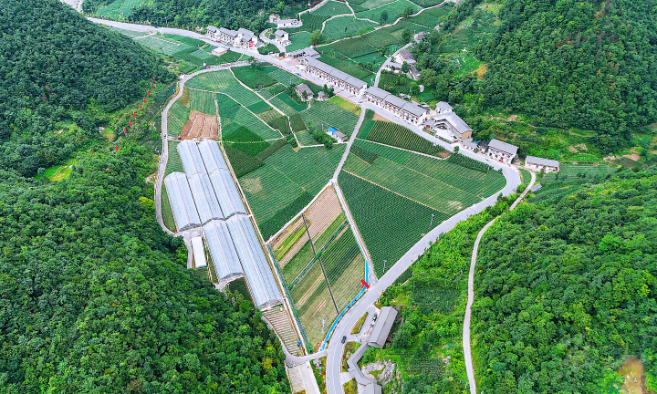 高山蔬菜采摘园。