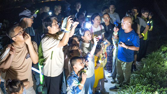 游人在缙云山进行夜间观察体验。北碚区委宣传部供图 华龙网发