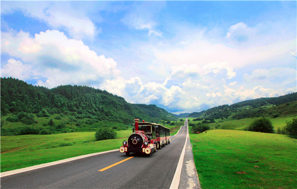 仙女山小火車。武隆區(qū)委宣傳部供圖 華龍網(wǎng)發(fā)