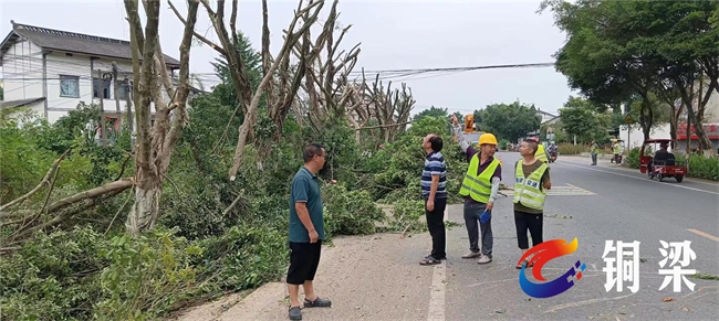 公路养护人员开展干线公路行道树修剪行动。铜梁区融媒体中心供图