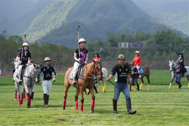 近百匹阿根廷賽馬空降仙女山。華龍網(wǎng)記者 曹建 攝