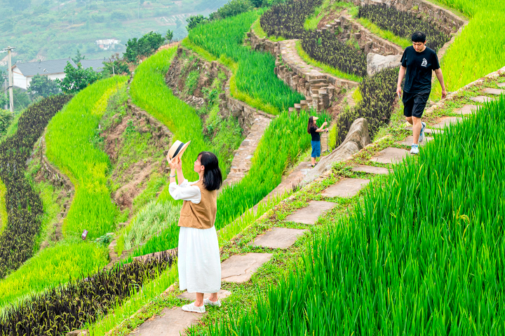 市民在五彩梯田打卡夏日美景。全媒体记者 刘映呈 摄