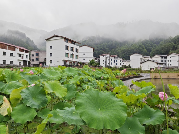 铜鼓镇美丽乡村。酉阳县委宣传部供图 华龙网发