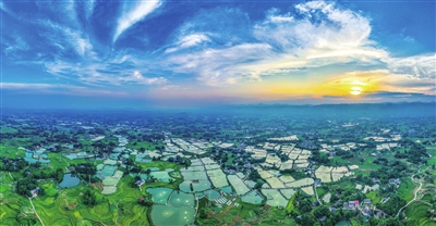 礼让镇川西村，夕阳洒向连片的鱼塘，仿佛打翻了调色盘，显得分外耀眼。记者 熊伟 摄