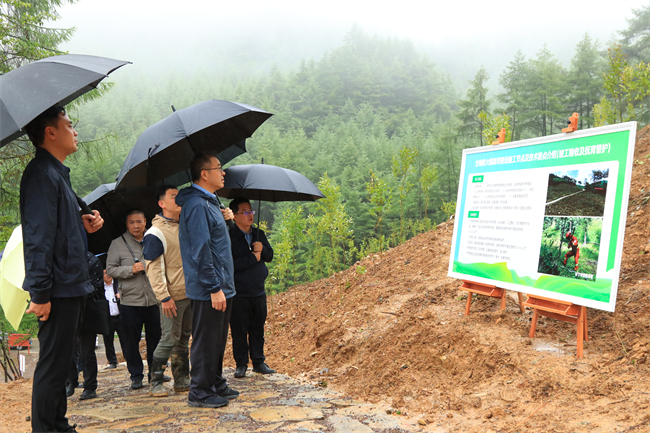 参会嘉宾参观生物防火隔离带现场规划。重庆市林业局供图 华龙网发