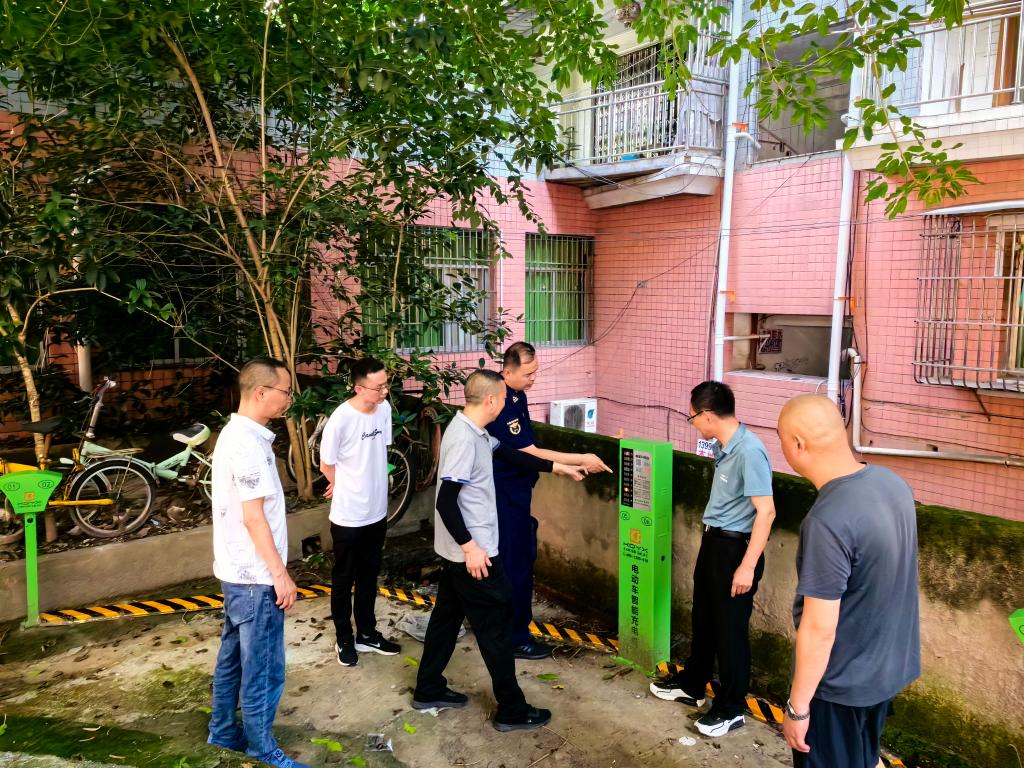 调研指导现场。垫江县电动自行车安全隐患全链条整治工作专班办公室供图 华龙网发
