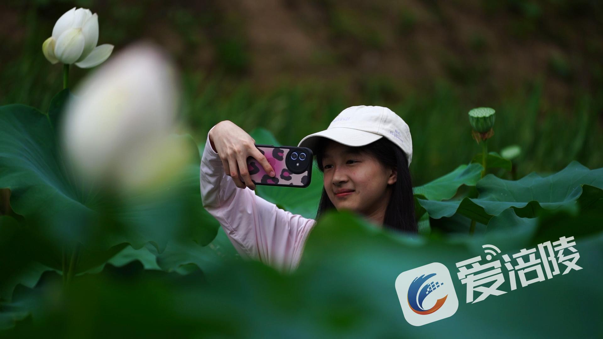 游客在拍照打卡。记者 夏雷 供图