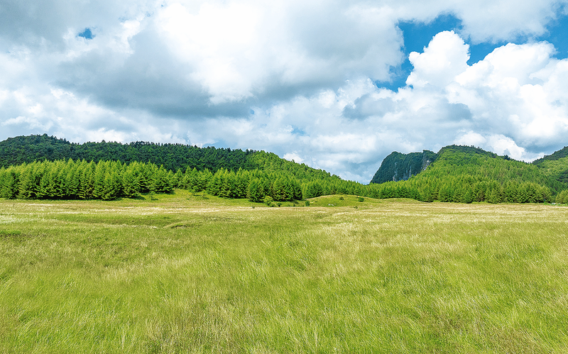 亚高山草甸景美如画。