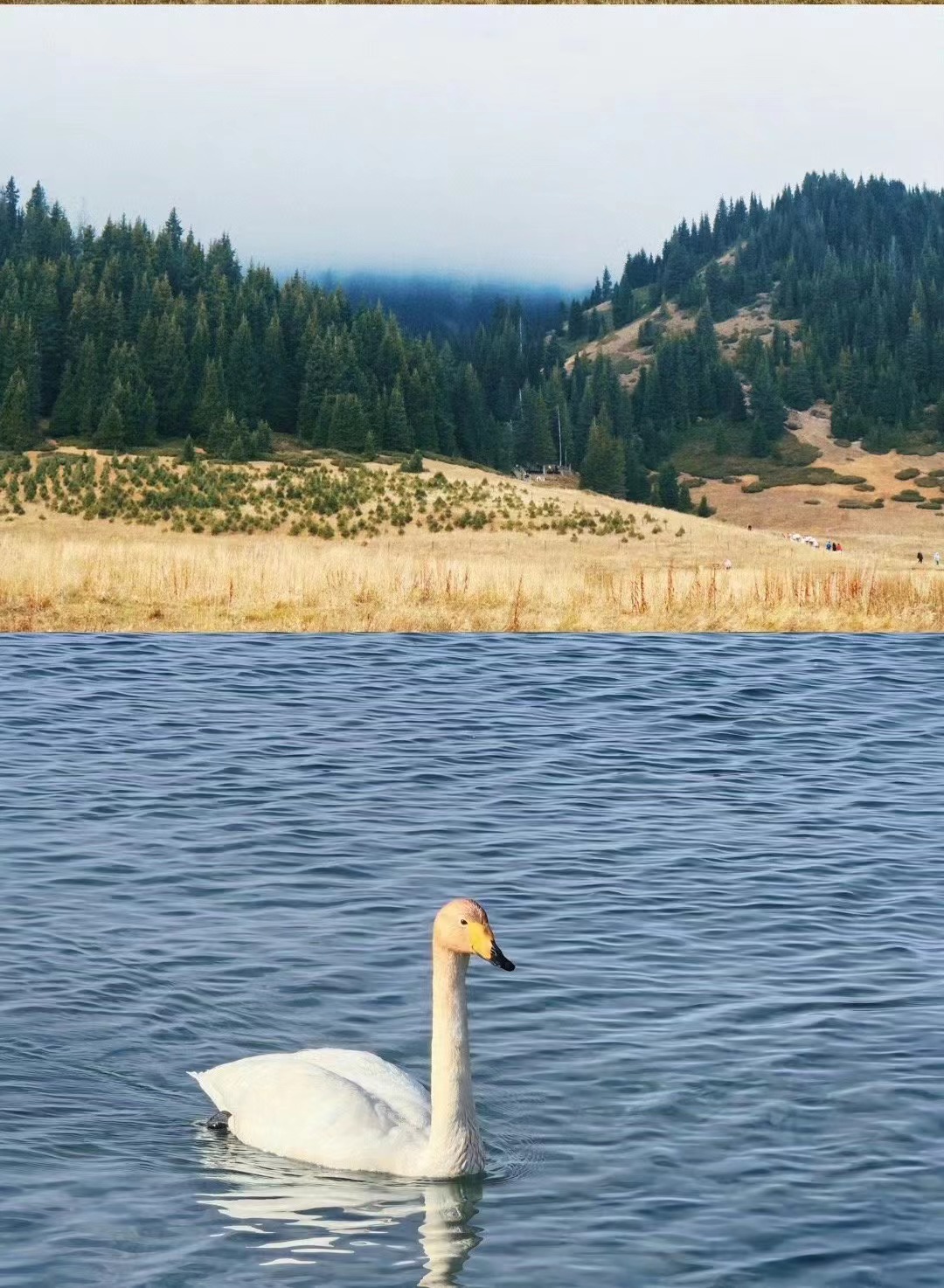 赛里木湖