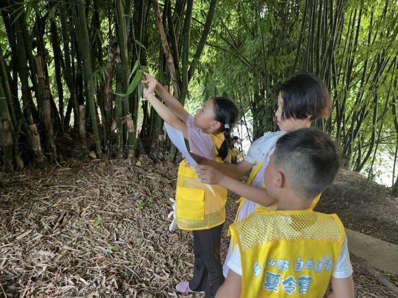 孩子们在老师的带领下进行户外寻宝。活动主办方供图