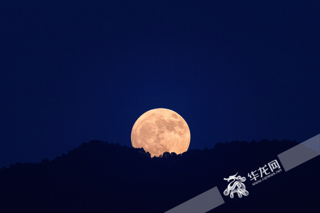 In Jiulongpo District, the first "Supermoon" of 2024 began its majestic ascent into the night sky