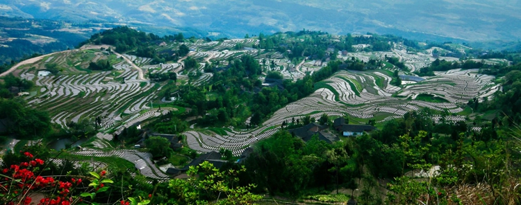 石柱辣椒生产基地。石柱县委宣传部供图 华龙网发