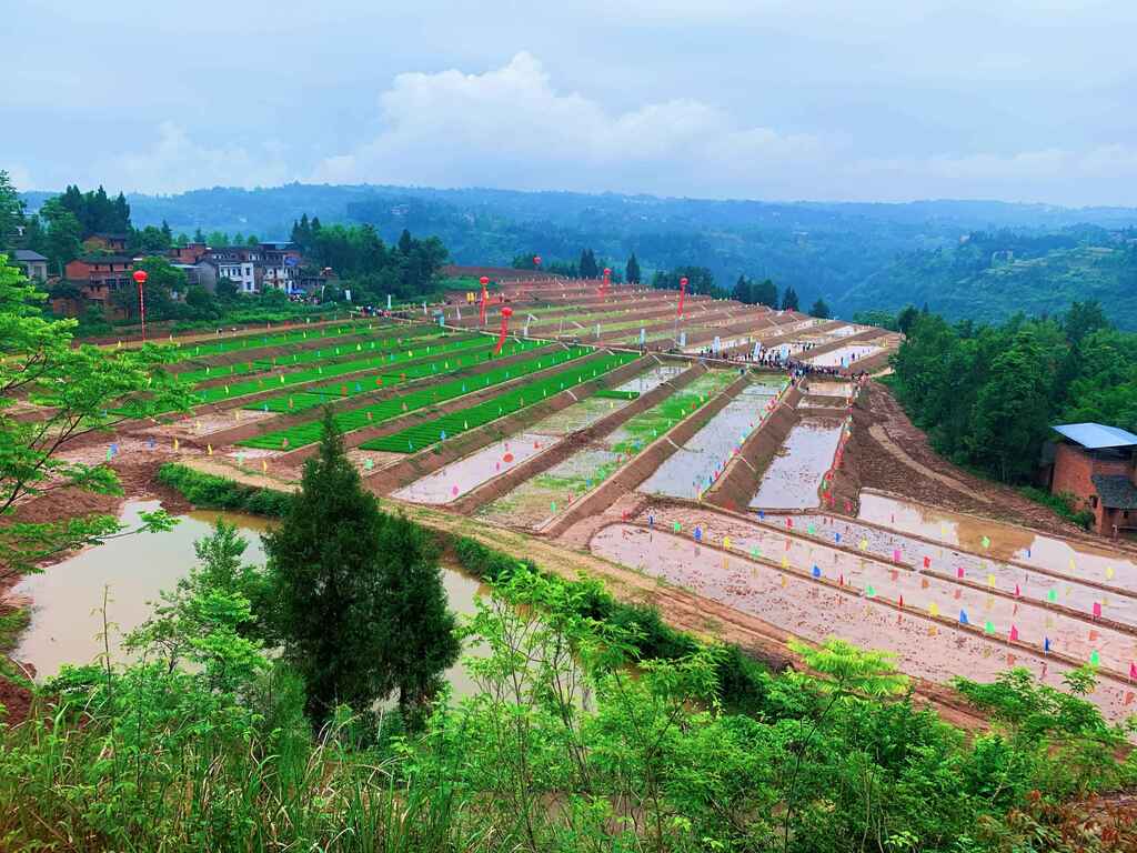 全域土地综合整治后的凤鸣镇太地村。云阳县规划和自然资源局供图