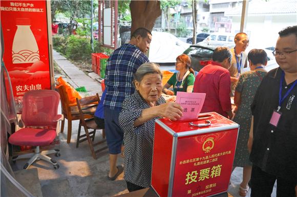 陈开秀老人投出了自己的一票。礼嘉街道供图 华龙网发