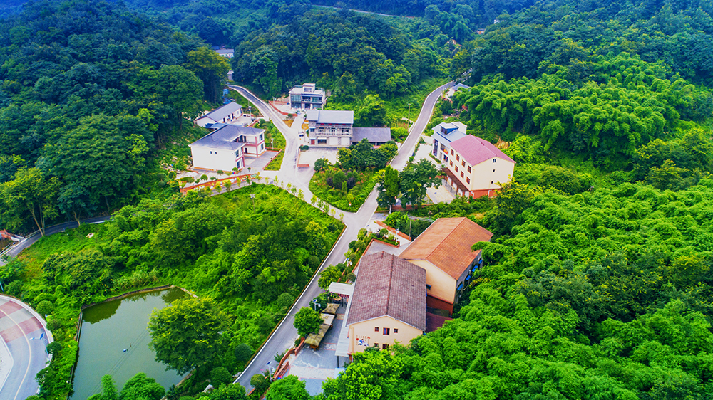 丰文街道三河村 市农业农村委供图