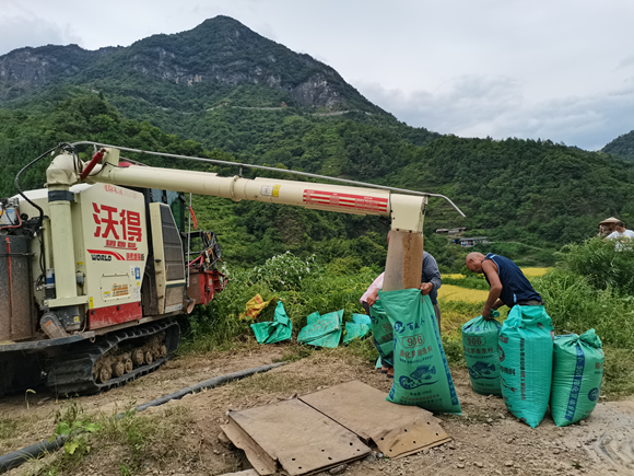 顆粒歸倉盡豐收。通訊員 付沖 攝