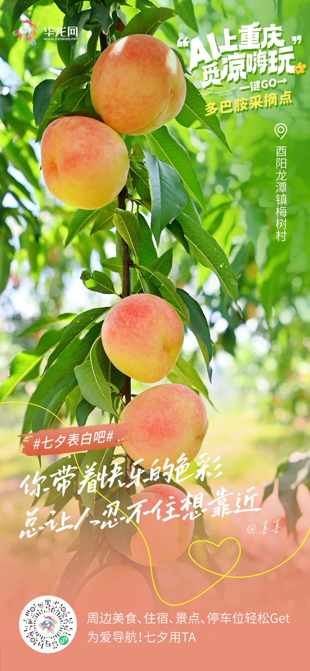 酉阳.jpg