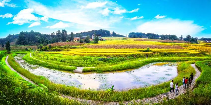 涪陵區大順鄉全域土地綜合整治試點。重慶市規劃和自然資源局供圖