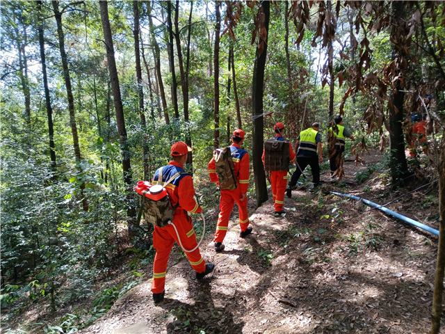 全時(shí)段督-督森林防火、杜秋毫火患。郭家沱街道供圖 華龍網(wǎng)發(fā)