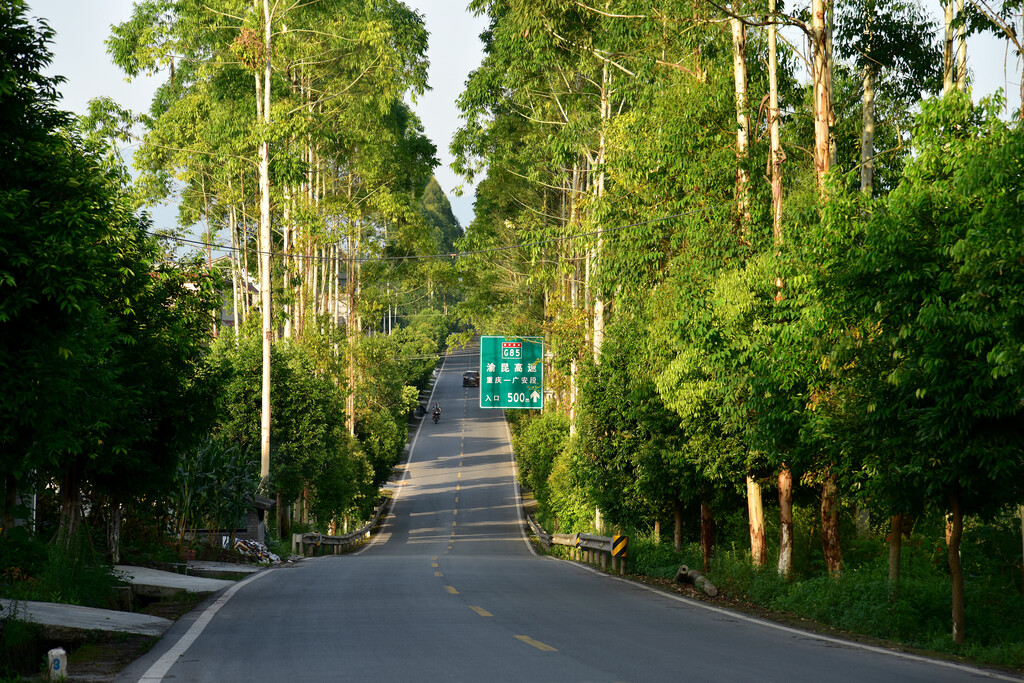 双槐合华路