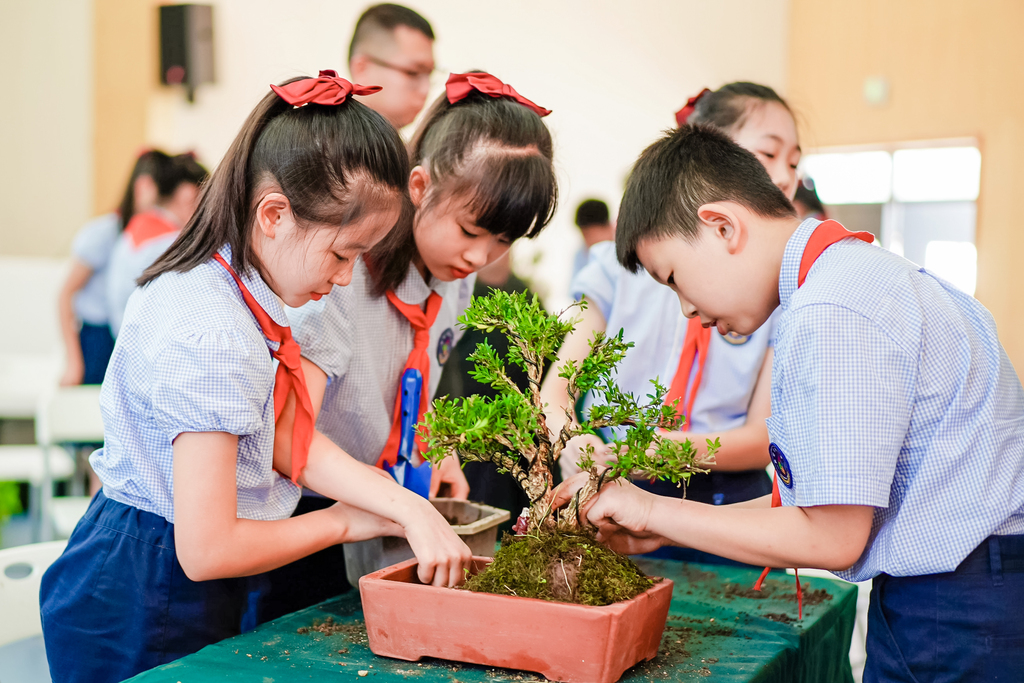 2023年新村实验小学“会一点家务”之盆栽与园景艺术鉴赏课