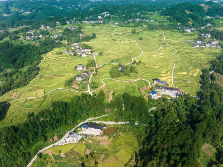 绘就和美乡村新图景。