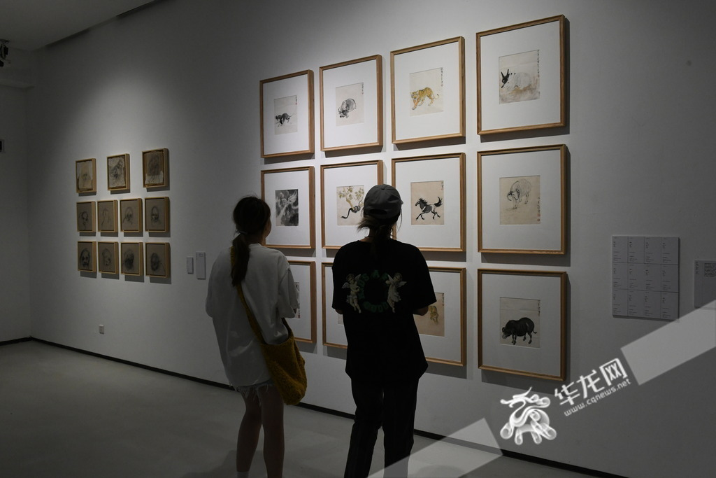 Twelve Zodiac Animals series by Xu Beihong drawing significant attention from visitors