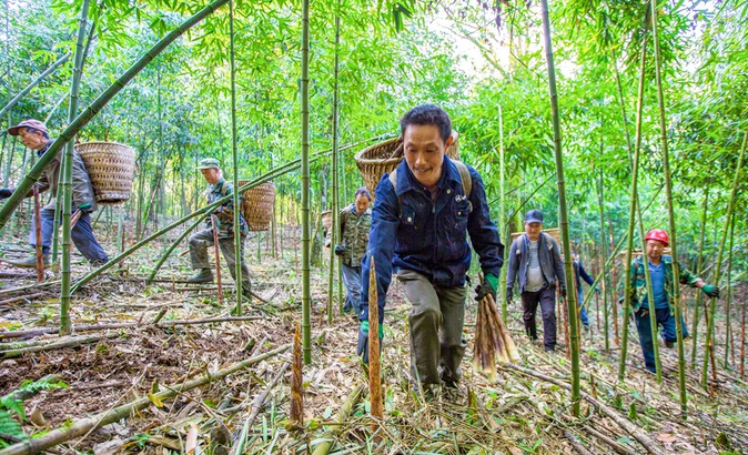 被称为“金山刀客”的笋农。南川区委宣传部供图 华龙网发