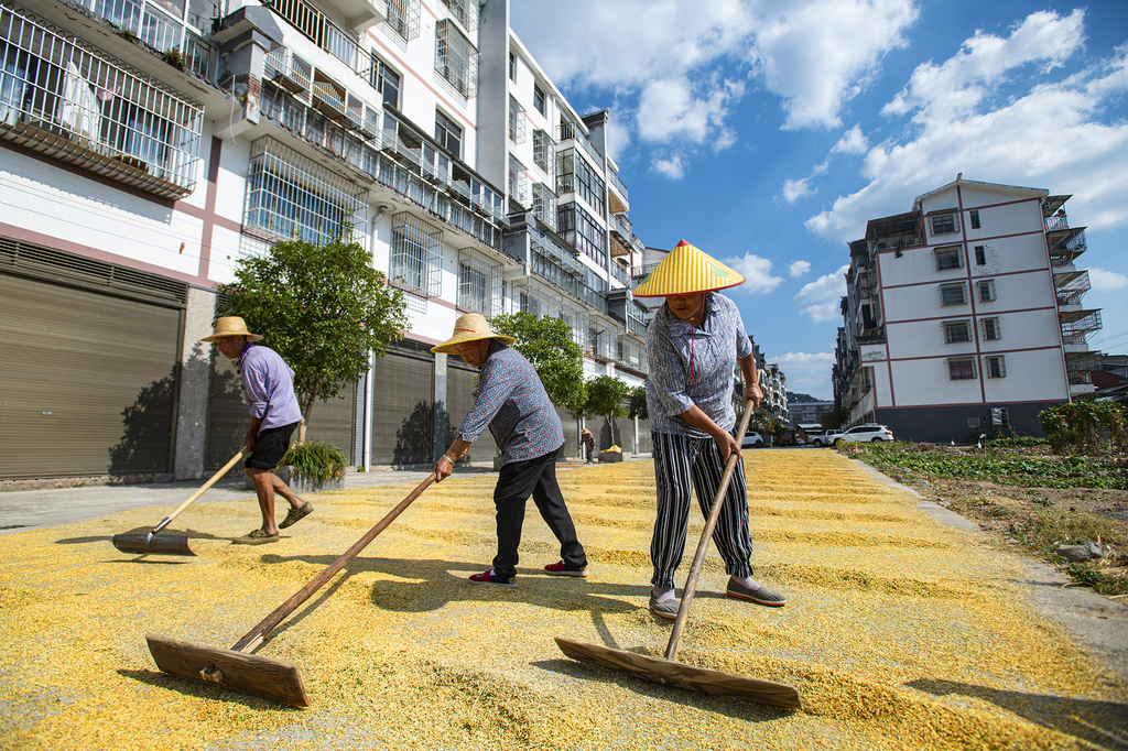 6、萬(wàn)州區(qū)羅田鎮(zhèn)，新農(nóng)村居住點(diǎn)的村民在自家樓下晾曬糧食。冉孟軍 攝