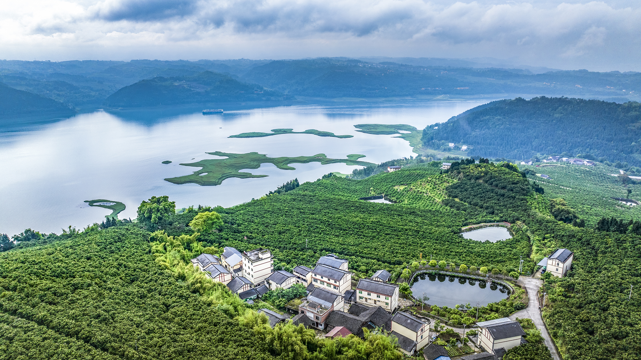 三峡橘海。 田华平 摄