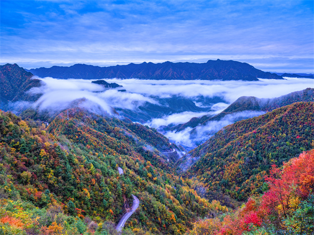 盛夏已過(guò)，城口彩葉即將進(jìn)入最佳觀賞期。城口縣委宣傳部供圖 華龍網(wǎng)發(fā)