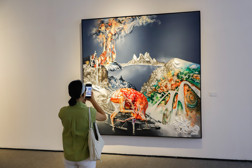 A citizen watching the exhibition at the exhibition site