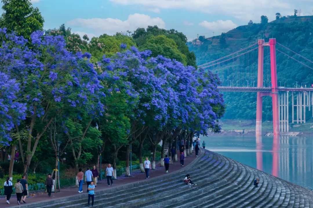 濱江公園。忠縣文旅委供圖 華龍網(wǎng)發(fā)