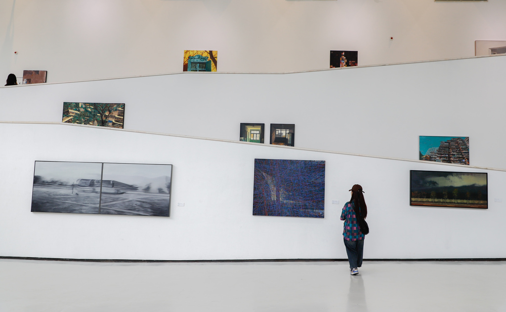 A citizen watching the exhibition at the exhibition site