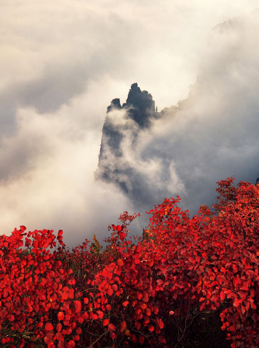 巫山神女峰。 巫山县文旅委供图