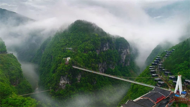 云雾萦绕的茶山。恩施地心谷景区供图  华龙网发