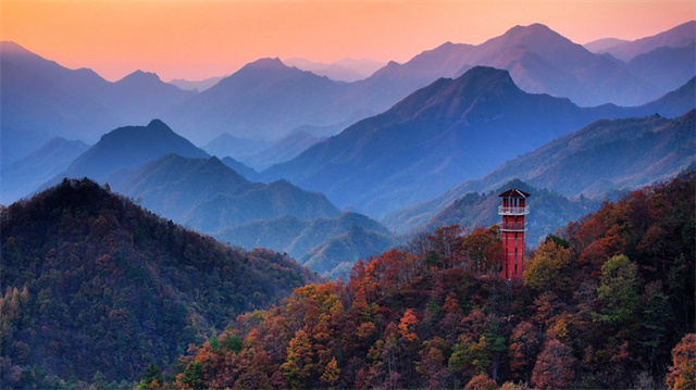 城口县岚天乡冷坪垭彩叶观景台。城口县委宣传部供图 华龙网发