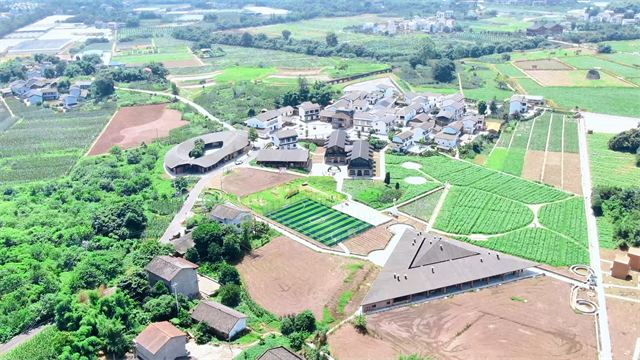 1俯瞰璧山將軍村,。璧山區(qū)委宣傳部供圖.png