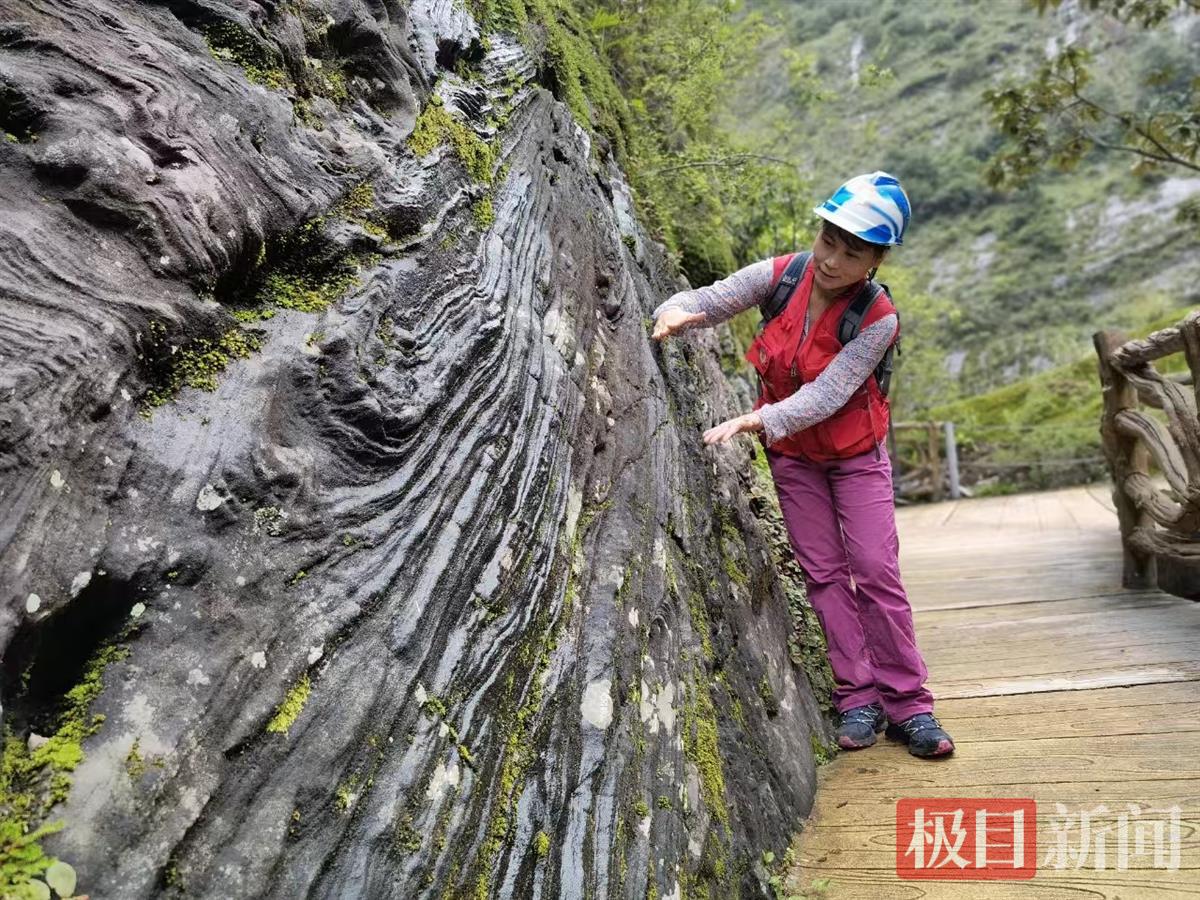 记者对话地大女教授：在哀牢山科考近20年，一天经历四季也曾迷路过