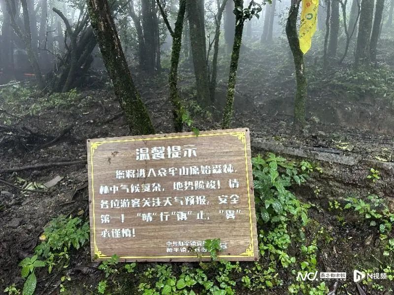 突然爆火！传说哀牢山“野人出没，恐怖骇人”，本地人说……