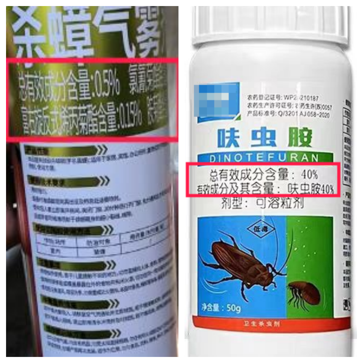 广东蟑螂已进化？疾控部门回应：不科学
