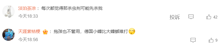 广东蟑螂已进化？疾控部门回应：不科学