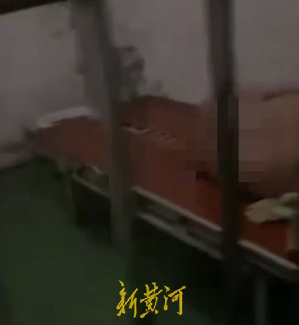 实探将残障人士锁在小屋里的养护院：养护院地处偏僻，工作人员称系装修原因令他们暂住