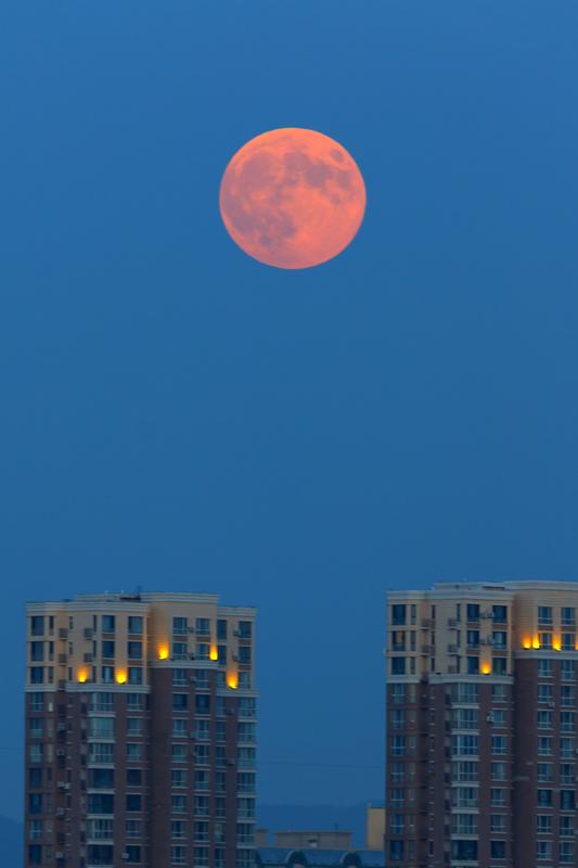 赏月正当时！年度最大满月现身夜空