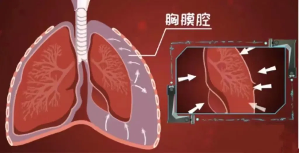 方大同时隔8年回归！“消失这么久是因为生病……”