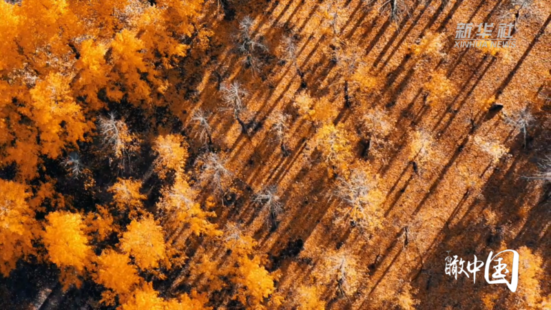 瞰中国｜绚丽秋景 美不胜收